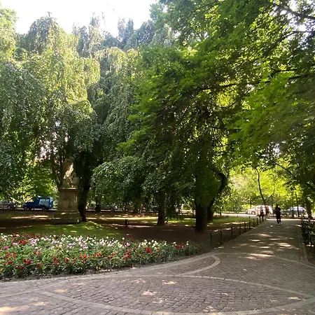 Top Near Wawel